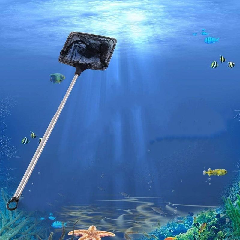 ZENITHMIND Filet de pêche Réservoir de Poissons Accessoires