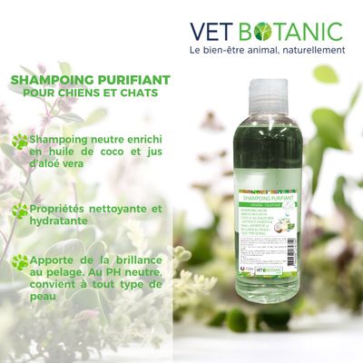 SHAMPOING PURIFIANT - Hygiène et toilettage du chien et du chat