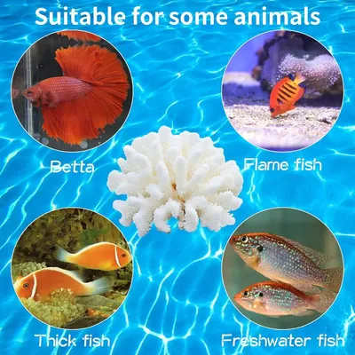 ZENITHMIND Coraux artificiels décoratifs en résine pour Aquarium