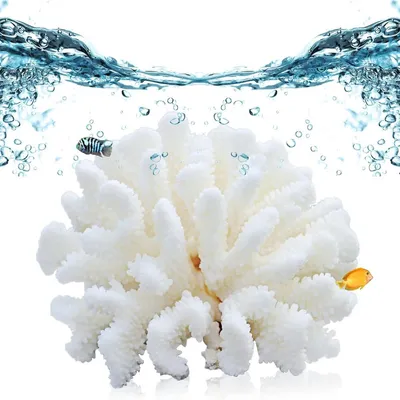 ZENITHMIND Coraux artificiels décoratifs en résine pour Aquarium