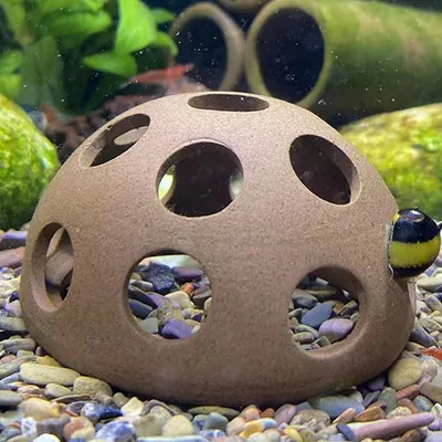 ZENITHMIND Lot de 4 cachettes en céramique pour aquarium,animaux aquatiques