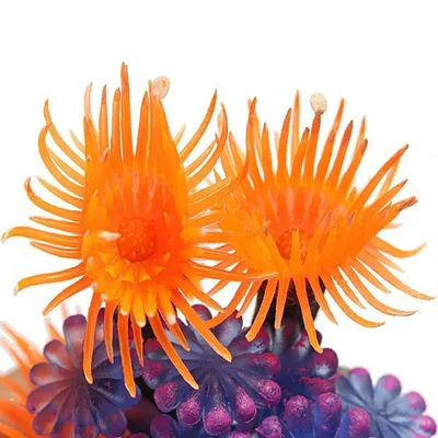 ZENITHMIND Corail Artificiel,la décoration de réservoir de Poissons