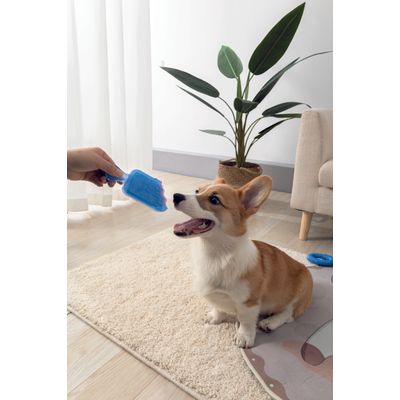 M-PETS - COOLING Jouet pour chien FRISKO - Bleu
