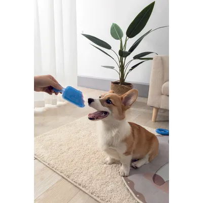 M-PETS - COOLING Jouet pour chien FRISKO - Bleu