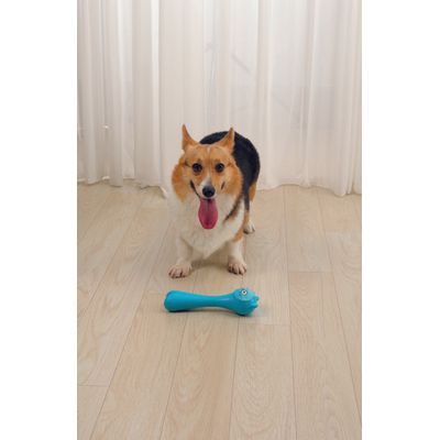 M-PETS - ROB Jouet Distributeur de friandises - TPR - Bleu