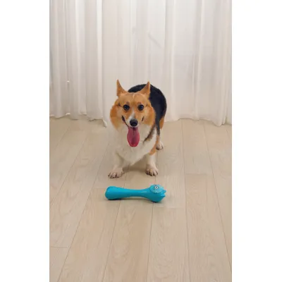M-PETS - ROB Jouet Distributeur de friandises - TPR - Bleu