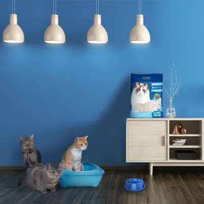 ZENITHMIND Sable pour chat tofu biodégradable – 3,8 litres