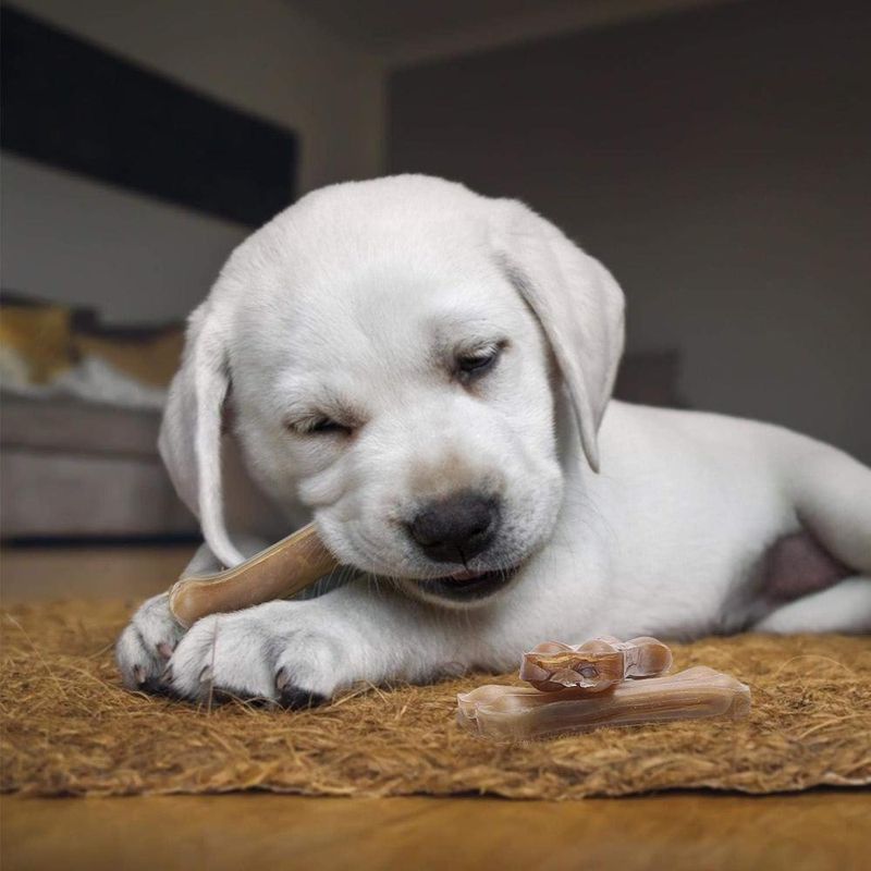 ZENITHMIND Stick à mâcher pour chien, 10 cm × 18 pièces