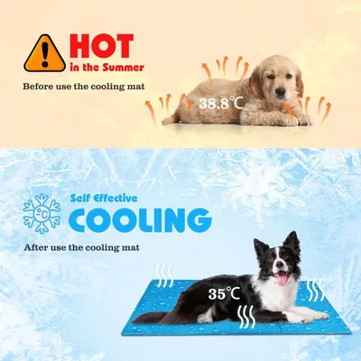ZENITHMIND Tapis réfrigéré chien chat, gel non toxique, 90x50 cm