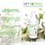 SPRAY DENTAIRE EAUX FLORALES CHIENS ET CHATS - Assainit et rafraichit