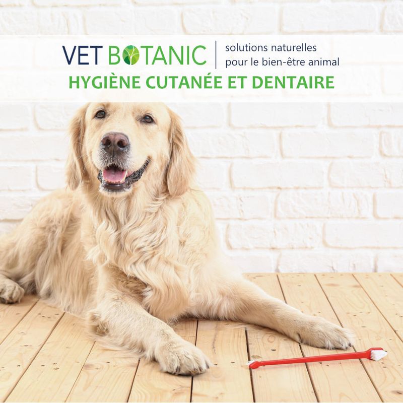 SPRAY DENTAIRE EAUX FLORALES CHIENS ET CHATS - Assainit et rafraichit