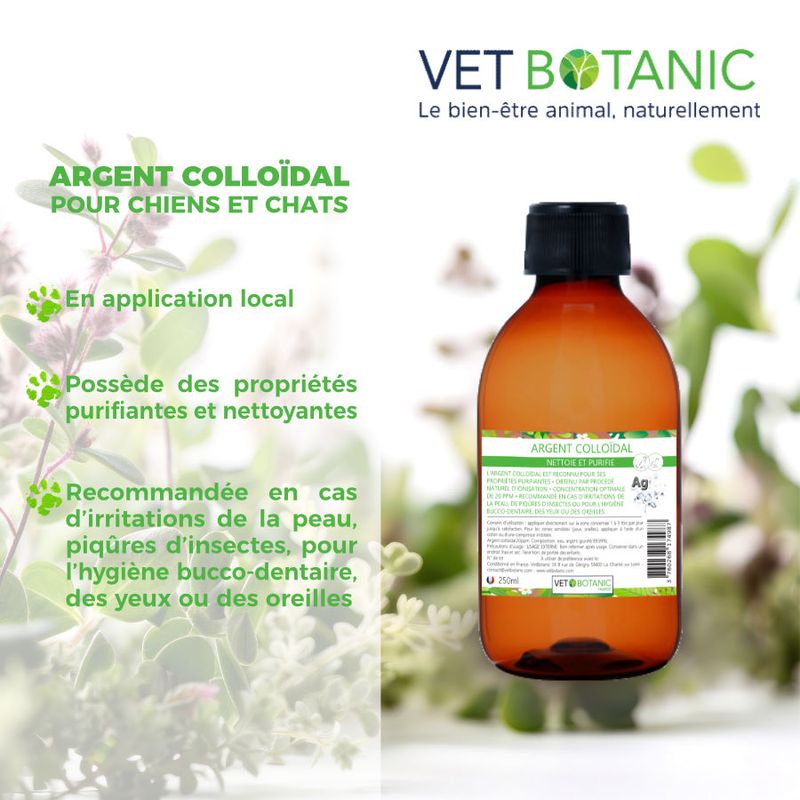 ARGENT COLLOIDAL pour chiens et chats - Purifie et nettoie