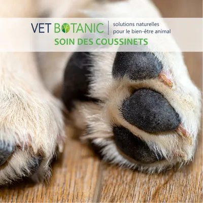 BEURRE DE KARITE - Soin nourrissant pour le chien et le chat