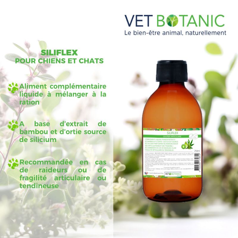 SILIFLEX - Soutien articulaire chiens et chats