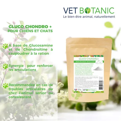 GLUCO CHONDRO + - Renforcement articulaire chiens et chats