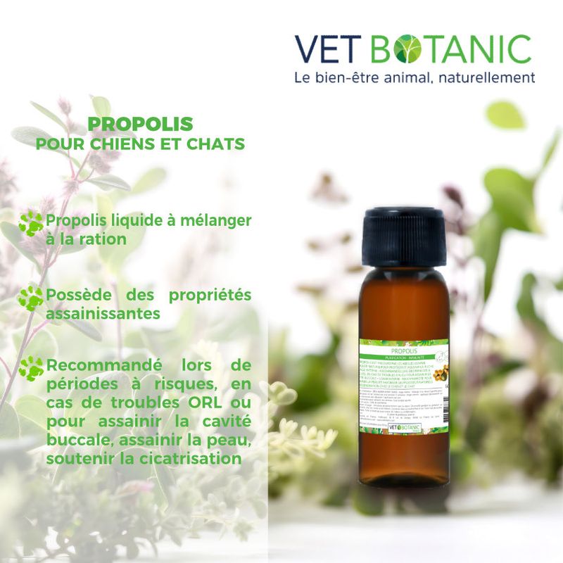 PROPOLIS - Purification et immunité chiens et chats