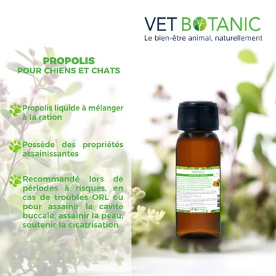 PROPOLIS - Purification et immunité chiens et chats