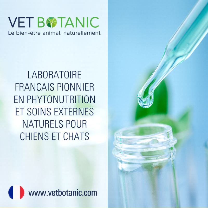 Complément probiotique chiens / chats