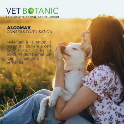 ALGOMAX Fortifiant spiruline et chlorelle - Tonus, vitalité chien et  chat