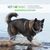 ALGOMAX Fortifiant spiruline et chlorelle - Tonus, vitalité chien et  chat