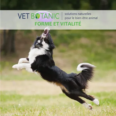 HUILE DE FOIE DE MORUE - Vitalité et mue chiens et chats