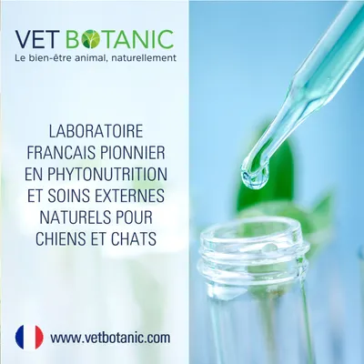 MACERAT BOURGEON DE CASSIS - Vitalité et souplesse articulaire chien, chat