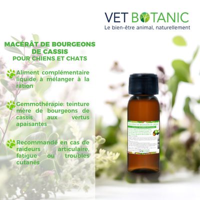 MACERAT BOURGEON DE CASSIS - Vitalité et souplesse articulaire chien, chat