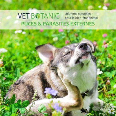 LOTION PARAPROTECT - Neutralisateur d'odeurs pour chiens et chats