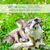 LOTION PARAPROTECT - Neutralisateur d'odeurs pour chiens et chats