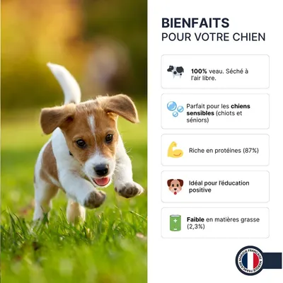 France Croquettes - Torsadés de veau - 100% naturel