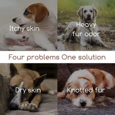 ZENITHMIND Shampooing pour chien pour prévenir les démangeaisons