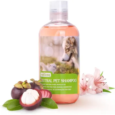 ZENITHMIND Shampooing pour chien pour prévenir les démangeaisons