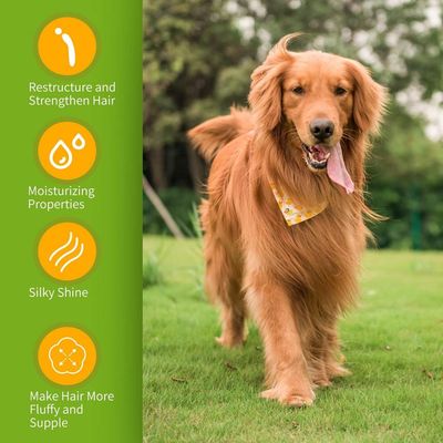 ZENITHMIND Shampooing pour chien sans picotements et odeurs sensibles