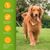 ZENITHMIND Shampooing pour chien sans picotements et odeurs sensibles
