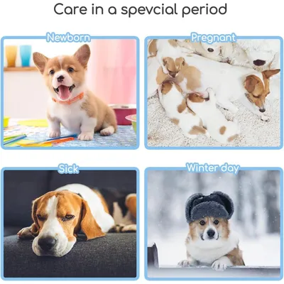 ZENITHMIND Shampooing moussant sec pour chien, chat et lapin