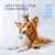 ZENITHMIND Shampooing moussant sec pour chien, chat et lapin