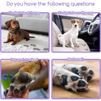 ZENITHMIND Shampooing mousse sèche pour chiens