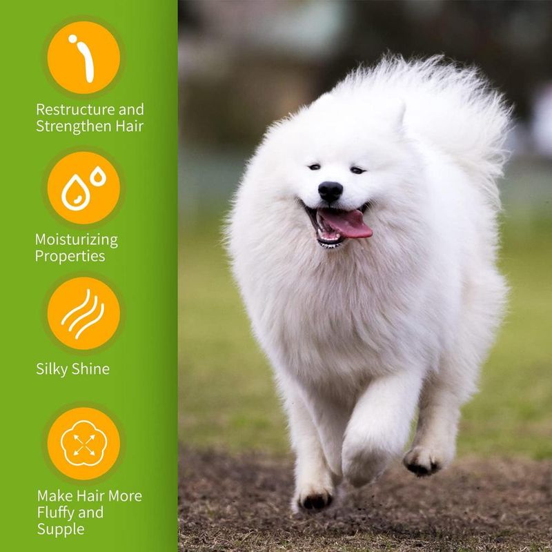 ZENITHMIND Shampooing pour chiens-shampooing pour chiens White Dog Shampoo