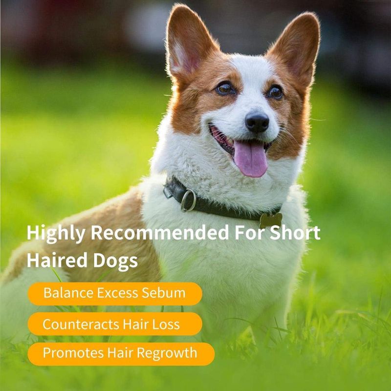 ZENITHMIND Shampooing pour chiots doux, parfumé aux amandes et au miel