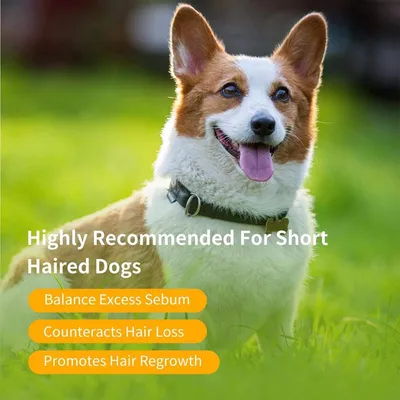 ZENITHMIND Shampooing pour chiots doux, parfumé aux amandes et au miel