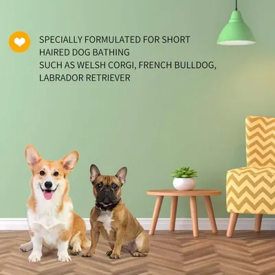 ZENITHMIND Shampooing pour chiots doux, parfumé aux amandes et au miel