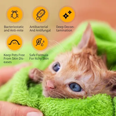 ZENITHMIND Shampooing pour chien avec des ingrédients naturels au limonol