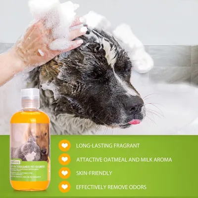 ZENITHMIND Shampooing pour chien avec des ingrédients naturels au limonol