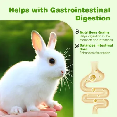 ZENITHMIND 700 g aliment équilibré pour lapin