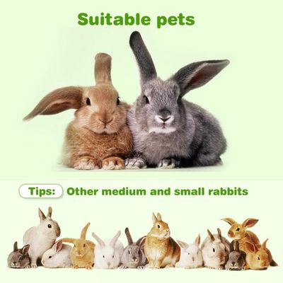 ZENITHMIND 700 g aliment équilibré pour lapin