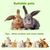 ZENITHMIND 700 g aliment équilibré pour lapin