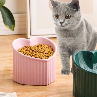 ZENITHMIND Bol Chat Ceramique Haut Incline Anti Vomissemen