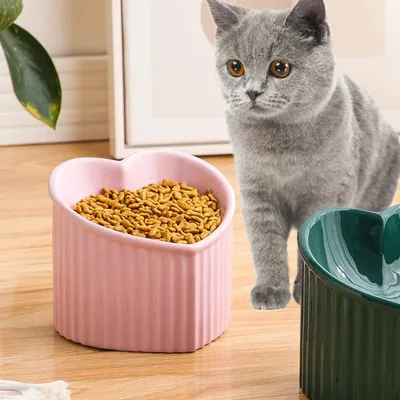 ZENITHMIND Bol Chat Ceramique Haut Incline Anti Vomissemen