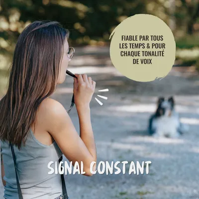 Rudelkönig Sifflet pour chien professionnel