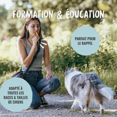 Rudelkönig Sifflet pour chien professionnel